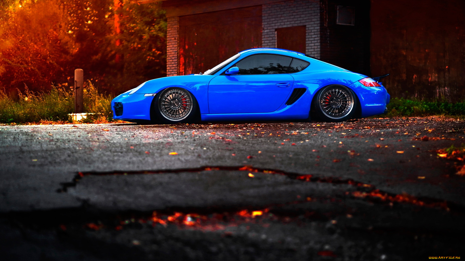 , porsche, cayman